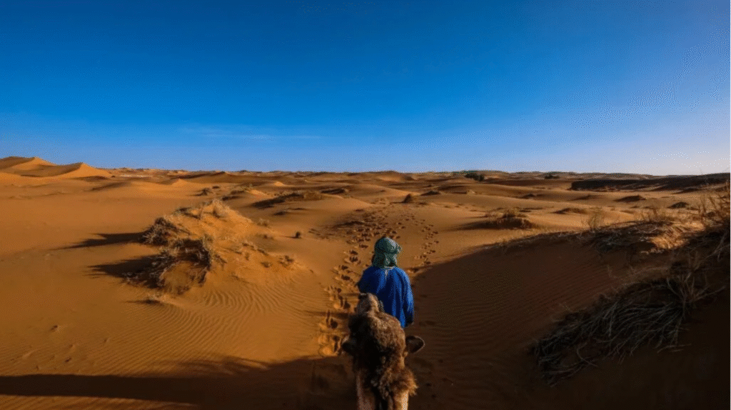 In Marrakech, Stories Still Travel Out Loud