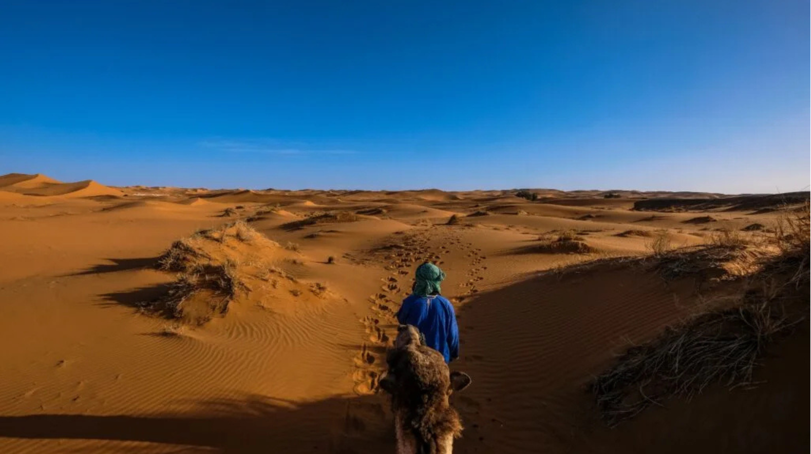 In Marrakech, Stories Still Travel Out Loud